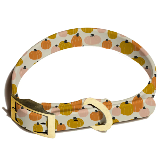 Hey There Pumpkin Dog Collar