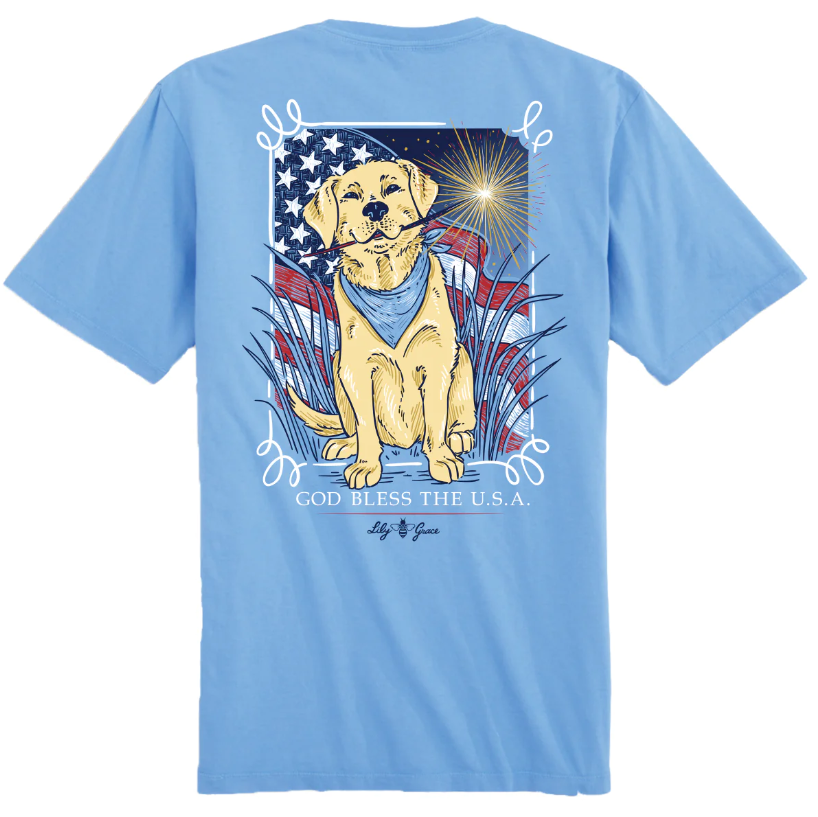 shopping, online, pensacola, florida, boutique, clothing, summer, top, short sleeve, graphic tee, patriotic, trump, flag, dog, firework, july 4, independance