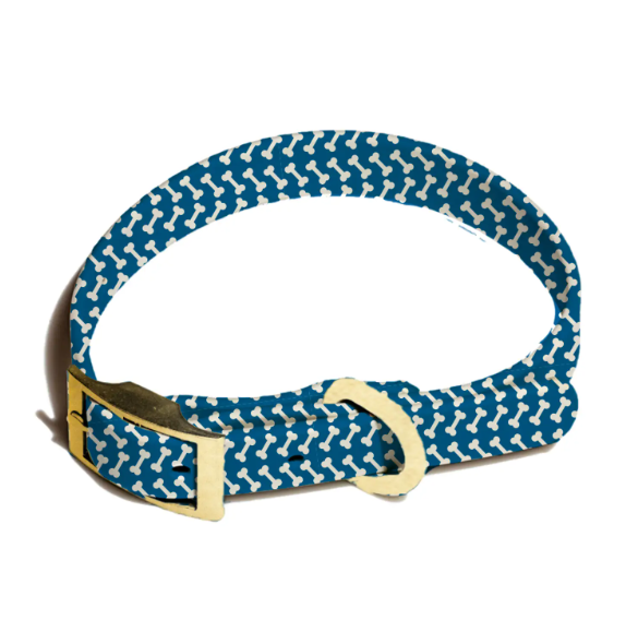 boutique shopping pensacola herringbone dog collar pet accessories