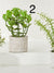 plants artificial succulents desk office shelf pensacola shopping boutique florida