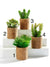 plants artificial succulents desk office shelf  pensacola shopping boutique florida 